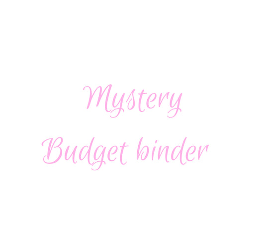 Mystery Budget binder