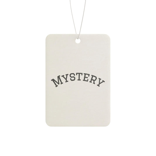 Mystery Car Freshi (2)