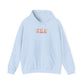 Teddy bears hooded sweatshirt