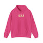 Teddy bears hooded sweatshirt