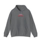 Cherry hooded sweatshirt